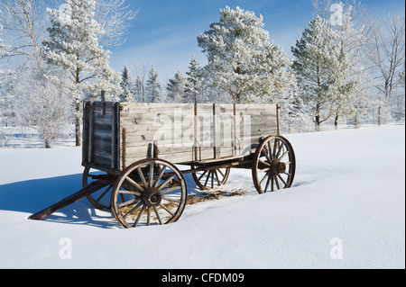 Ancien wagon, le givre sur les arbres, près d'Oakbank au Manitoba, Canada Banque D'Images