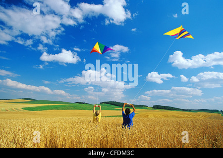 Enfants cerf-volant dans le champ de blé, Tiger Hills, Manitoba, Canada Banque D'Images