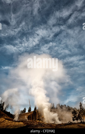 La cuisine de Yellowstone Hillside Banque D'Images