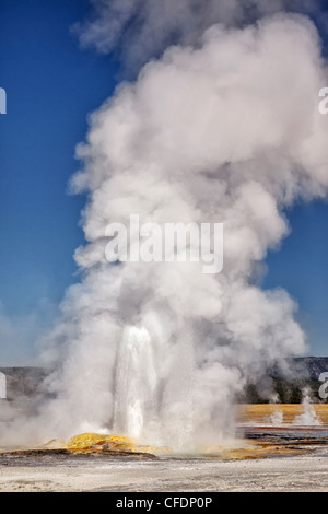 Clepsydre geyser in Yellowstone National Park Banque D'Images