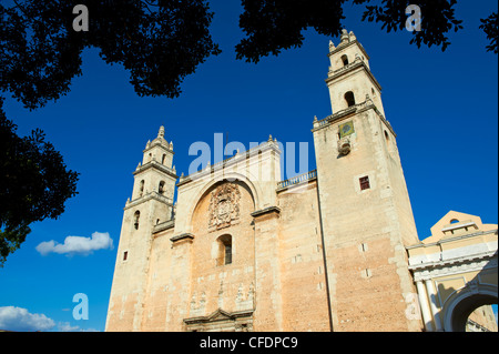 La Cathédrale, la place de l'indépendance, Merida, Yucatan, Mexique, état Banque D'Images