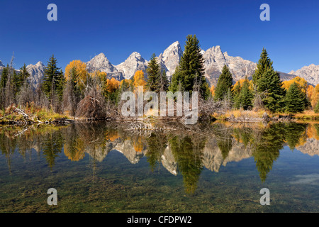 Dans l'atterrissage Schwabacher du Grand Teton National Park Banque D'Images