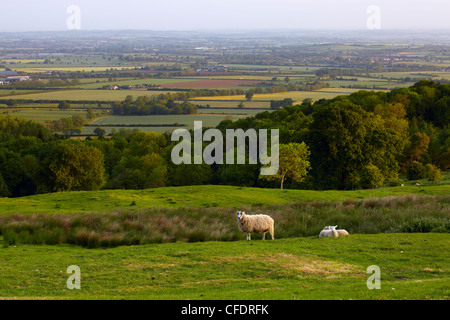 Une vue sur la campagne des Cotswolds de Dovers Hill près de chipping Camden, Gloucestershire, les Cotswolds, England, UK Banque D'Images