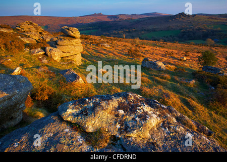 Une scène prises près de Bowerman, le nez du Dartmoor, dans le Devon, Angleterre, Royaume-Uni, Europe Banque D'Images