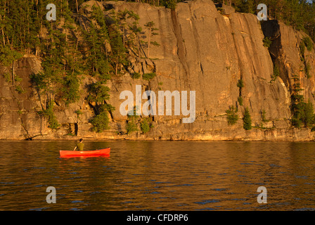 Homme canoeig sur le lac Rock, Parc provincial Algonquin, en Ontario, Canada Banque D'Images