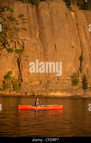 Homme canoeig sur le lac Rock, Parc provincial Algonquin, en Ontario, Canada Banque D'Images