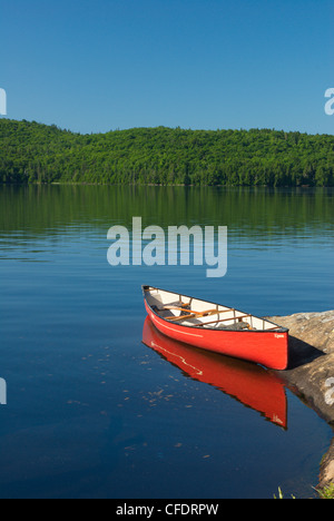 Rock Lake, parc provincial Algonquin, en Ontario, Canada Banque D'Images