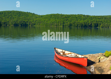 Rock Lake, parc provincial Algonquin, en Ontario, Canada Banque D'Images