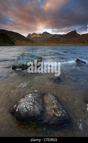 Un soir de novembre à moody Blea Tarn, Parc National de Lake District, Cumbria, Angleterre, Royaume-Uni, Europe Banque D'Images