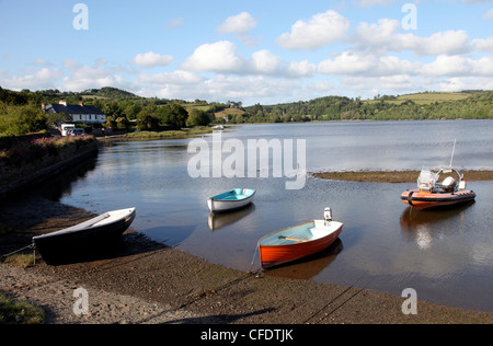 Bere Ferrers, rivière Tavy, Devon, Angleterre, Royaume-Uni, Europe Banque D'Images