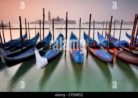 Gondoles amarré par la Place Saint Marc, à l'échelle de Isola di San Giorgio Maggiore, au petit matin, Venise, Vénétie, Italie Banque D'Images