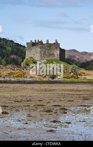 Château de Tioram, Loch Moidart, Lochaber, Ecosse, Royaume-Uni, Europe Banque D'Images