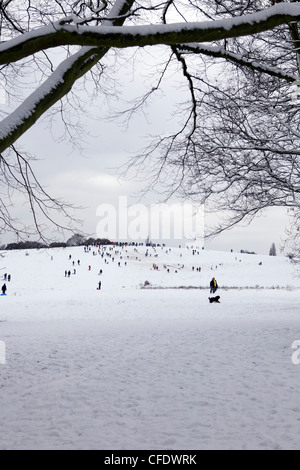 Les gens de la luge sur une colline couverte de neige, Hampstead Heath, Londres, Angleterre, Royaume-Uni, Europe Banque D'Images