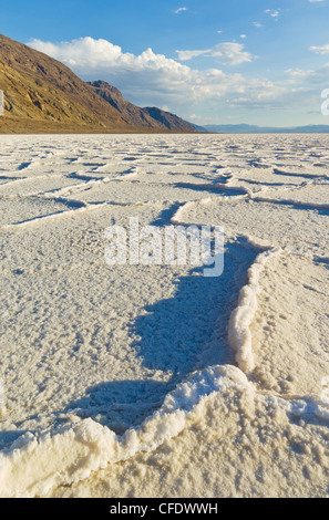 Les polygones de sel du bassin de Badwater à pan, Death Valley National Park, California, USA Banque D'Images