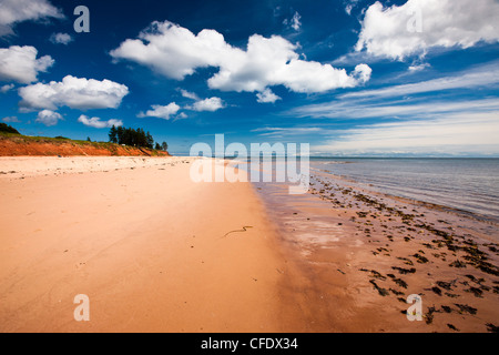 Beach, Red Point Provincial Park, Prince Edward Island, Canada Banque D'Images