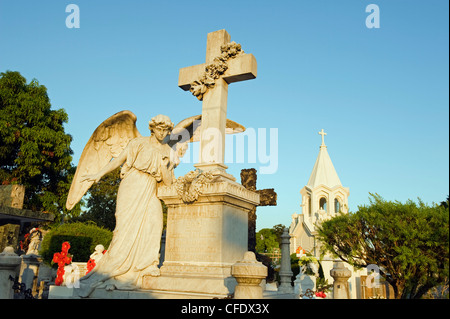 Cimetière, San Salvador, El Salvador, l'Amérique centrale Banque D'Images