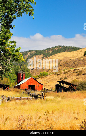 Vue avant de ferme abandonnée près de Winthrop, l'État de Washington, États-Unis d'Amérique Banque D'Images