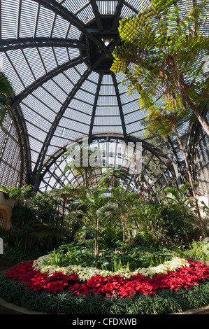 Bâtiment de botanique, Balboa Park, San Diego, Californie, États-Unis d'Amérique, Banque D'Images