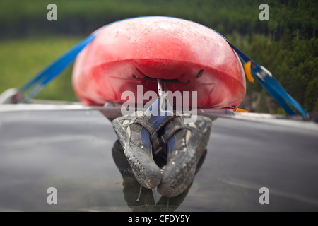 Le séchage des chaussures de kayak sur le chemin à l'autre rivière. Invermere (Colombie-Britannique), Canada Banque D'Images