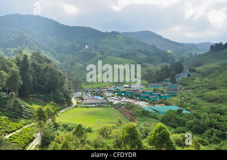 La plantation de thé, Cameron Highlands, Perak, Malaisie, Asie du Sud, Asie Banque D'Images