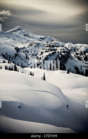 Un jeune homme certains skis de poudreuse alors que le ski de randonnée dans les montagnes de monahees, British Columbia, Canada Banque D'Images