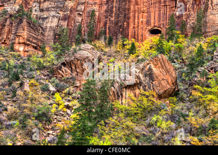 La sortie du Canyon, Zion National Park, Utah, USA Banque D'Images