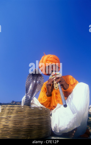 Charmeur de serpent à Fort Ajmer au Rajasthan, en Inde. Banque D'Images