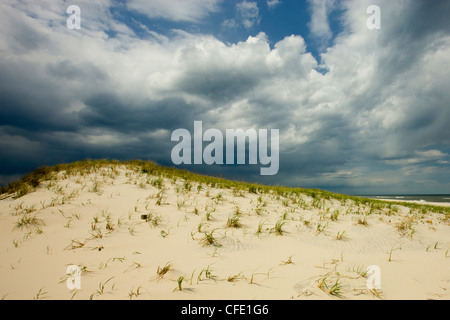 Déménagement tempête dans plus de dunes de sable, de Island Beach State Park, New Jersey, United States Banque D'Images