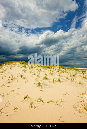 Déménagement tempête dans plus de dunes de sable, de Island Beach State Park, New Jersey, United States Banque D'Images