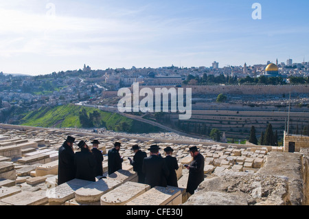 Les juifs ultra-orthodoxe priant dans le cimetière sur le mont Oliviers à Jérusalem Israël Banque D'Images