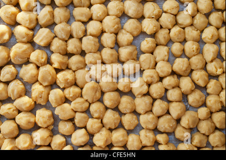 La production de jagré dans le sud rural campagne indienne. L'Andhra Pradesh, Inde. Boules de jagré laminées de refroidissement Banque D'Images