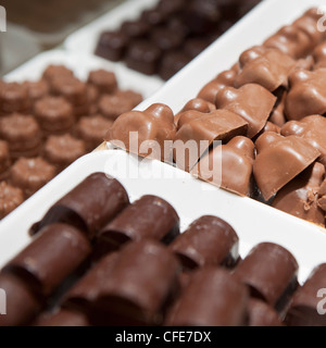 Assortiment de pralines en chocolat sur l'affichage à un traiteur à La Haye, Pays-Bas Banque D'Images