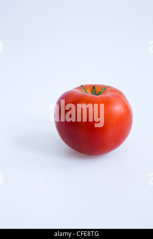 Tomate rouge sur fond blanc Banque D'Images