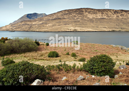 Killary, Connacht, Galway, Irlande Banque D'Images