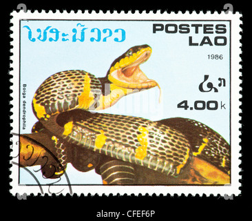 Timbre-poste du Laos représentant un chat-pêcheur d'or ou serpent serpent de mangrove (Bioga dendrophila) Banque D'Images