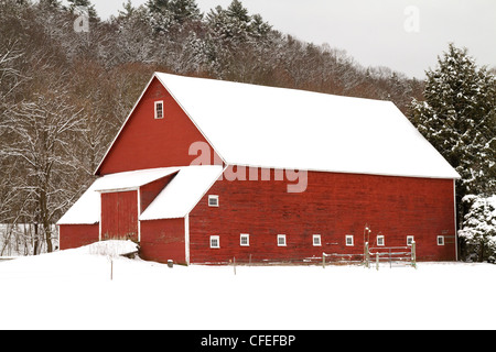 Grange rouge dans le New Hampshire est couvert par la neige de la Nouvelle Angleterre après une tempête d'hiver. Banque D'Images