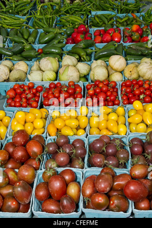 Un affichage de des produits fraîchement cueillis y compris les tomates poivrons Banque D'Images