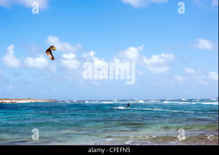 Parakiter sur Orient Bay, Saint Martin, Antilles Banque D'Images