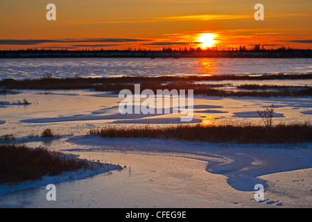 Coucher de soleil sur un lac gelé dans l'aire de gestion de la faune de Churchill, Churchill, Manitoba, la baie d'Hudson, au Canada. Banque D'Images