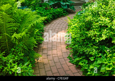 Brique pavée en chemin vert luxuriant jardin d'été Banque D'Images