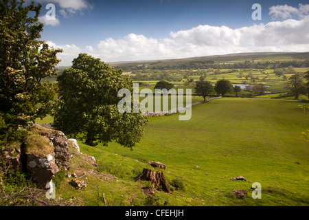 Royaume-uni, Angleterre, dans le Yorkshire, Wensleydale, Askrigg, rivière Ure passant par dales paysage agricole Banque D'Images