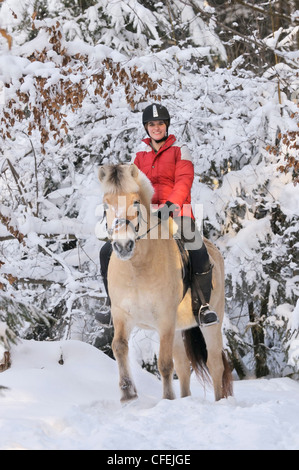 Ride out sur le dos d'un cheval en forêt d'hiver norvégien Banque D'Images