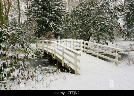 Passerelle couverte de neige dans un bois Banque D'Images