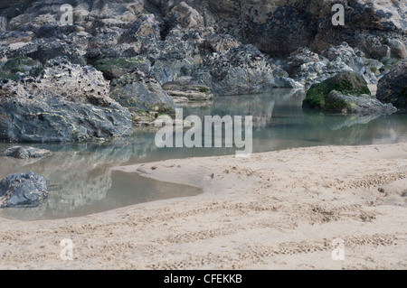 Voir rock pool sur Porthtowan beach roches couvertes dans les muscles et de la plage de sable fin avec la réflexion dans des rochers. Banque D'Images