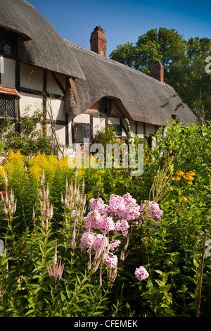 Le Warwickshire, Stratford sur Avon, Shottery, plantation de fleurs herbacées dans Anne Hathaway's Cottage Garden Banque D'Images