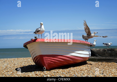 Les mouettes volent d'un petit bateau à rames sur la plage de Deal, dans le Kent Banque D'Images