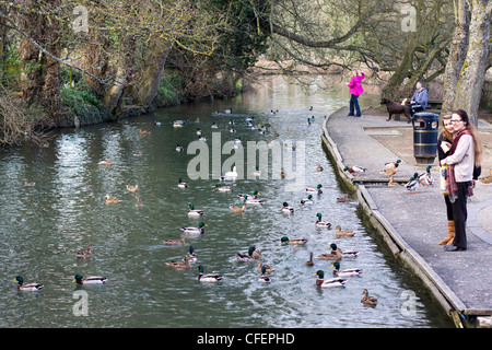 L'Angleterre est plus jolie petite ville médiévale à la passerelle Burford Cotswolds dans l'Oxfordshire nourrir les oiseaux sur la rivière Windrush Banque D'Images