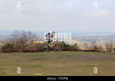 Gibbet Hill au cycliste, Hindhead Surrey England UK Banque D'Images