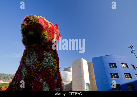 Musée Guggenheim de Bilbao et Jeff Koon de floraison puppy dog' Banque D'Images