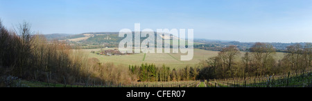 Vue panoramique sur Denbies Wine Estate, près de Dorking, Surrey, Angleterre. Banque D'Images